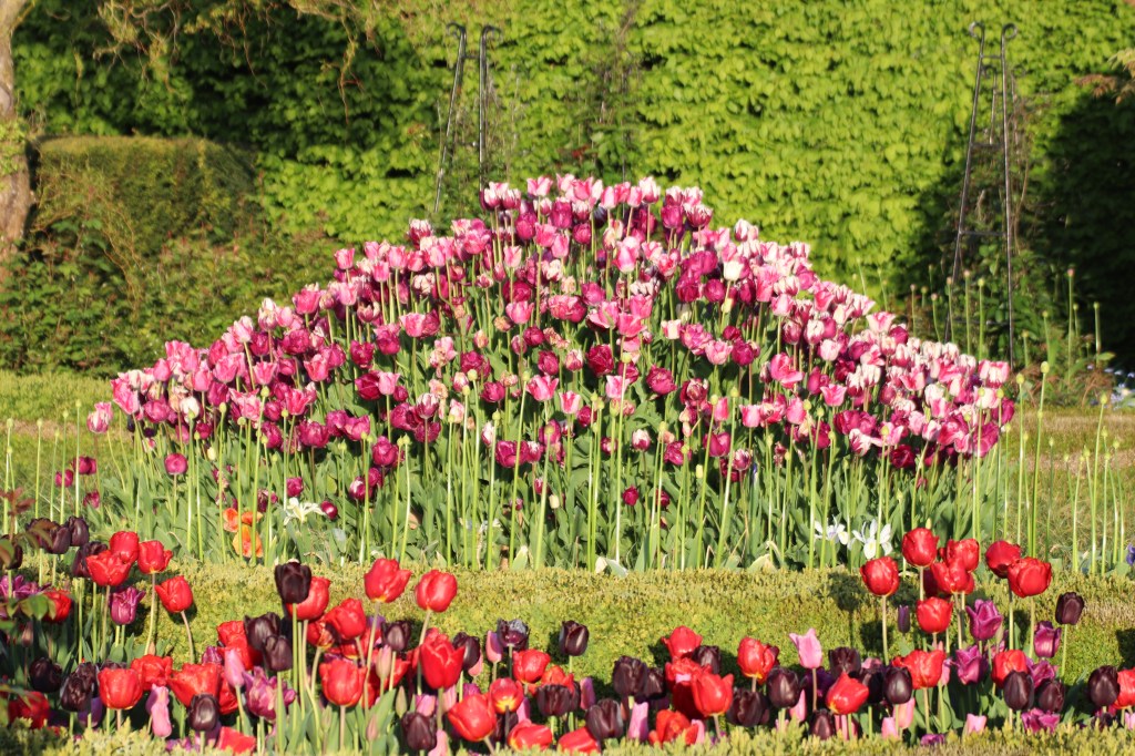Arundel Castle Hosts Tulip Festival&nbsp;2026