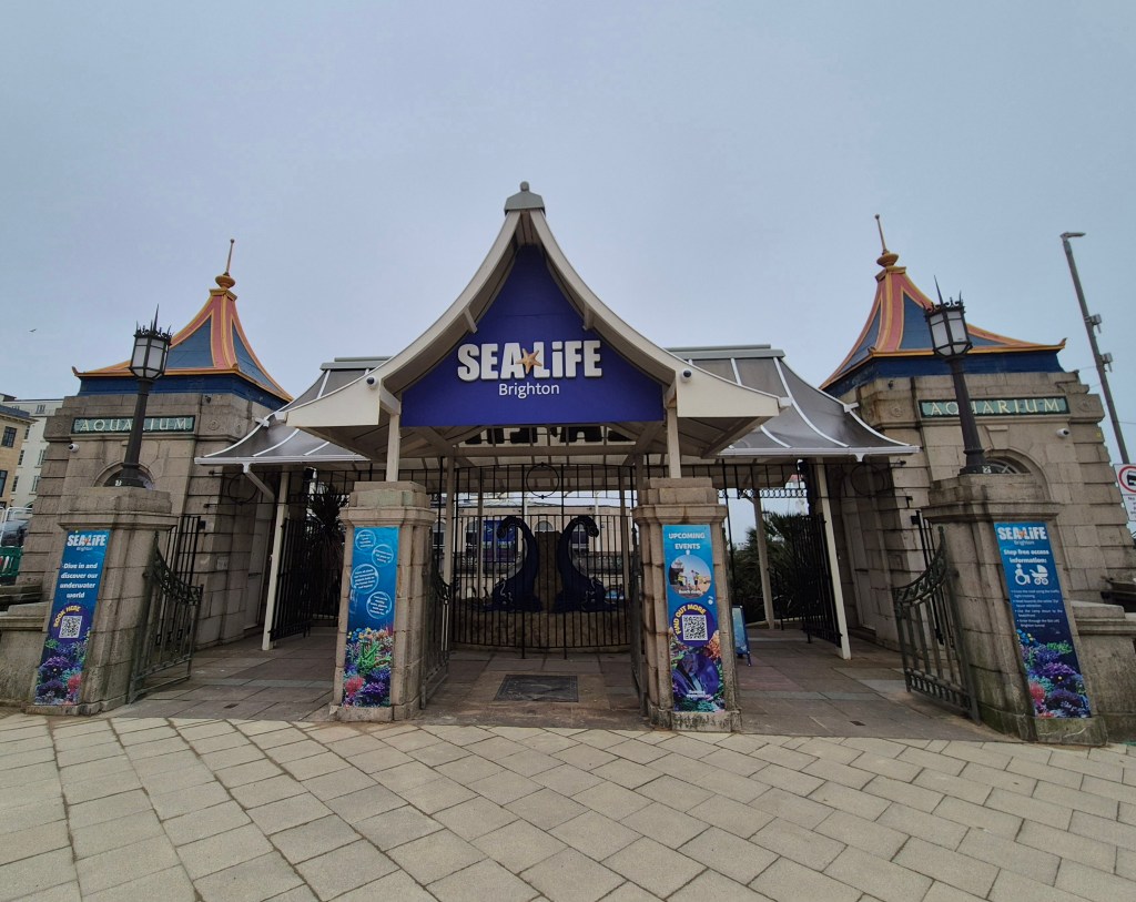 Review: Sea Life&nbsp;Brighton